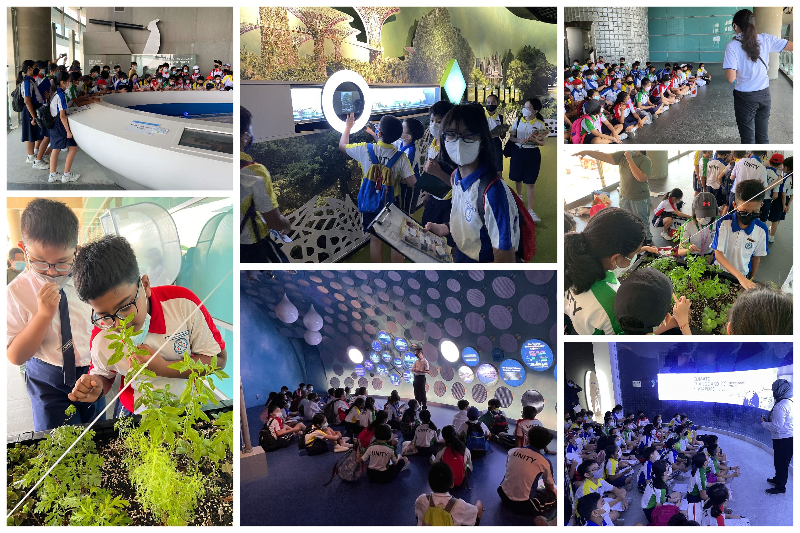 Collage of students on a field trip: viewing exhibits, listening to guides, and examining plants in groups.